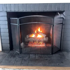 Chimney Services company